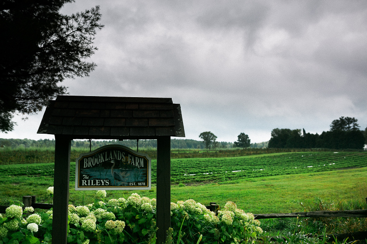 brooklands farm wedding