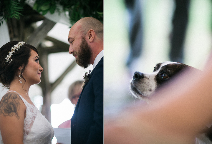 brooklands-farm-muskoka-wedding-photographer-97